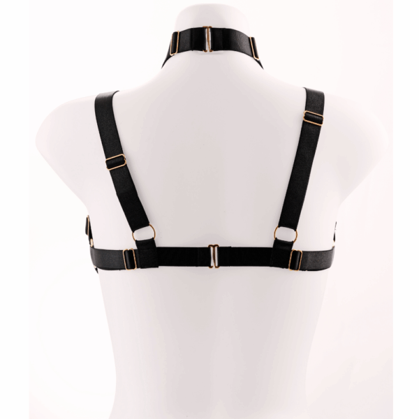 kinky-diva-faustina-bra-harness